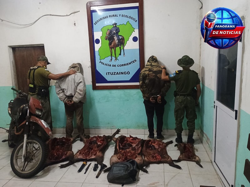 LA POLICIA RURAL ATRAPÓ A CAZADORES FURTIVOS CON CINCO CARPINCHOS FAENADOS