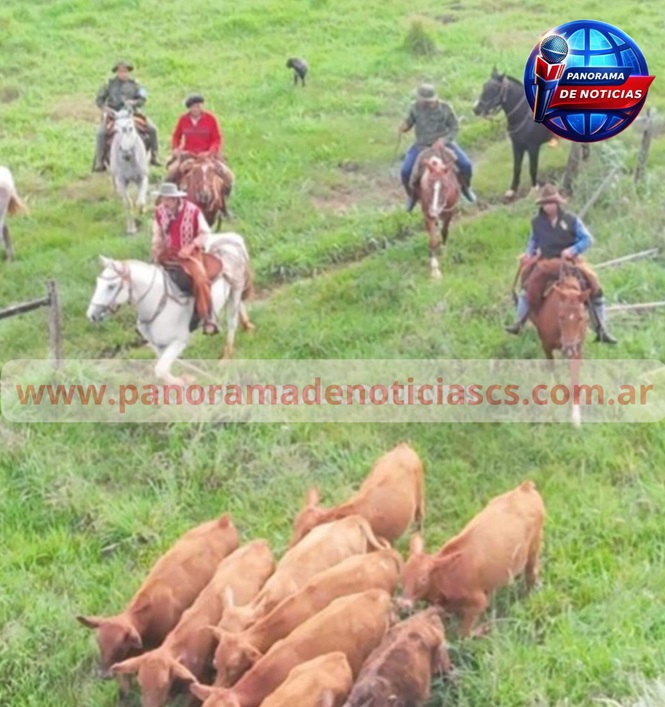 ITUZAINGÓ: LA POLICIA RURAL RECUPERÓ  HACIENDA ROBADA