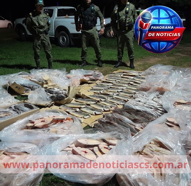 SECUESTRARON MÁS DE 300 KILOS DE PESCADOS TRANSPORTADOS SIN DOCUMENTACIÓN